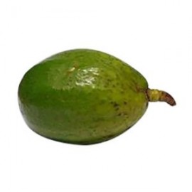 AGUACATE LOCAL