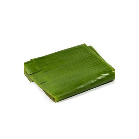 HOJA DE PLATANO VERDE