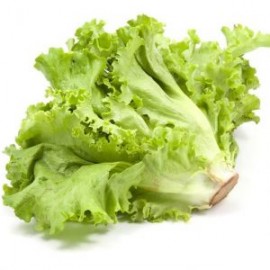 LECHUGA ITALIANA JAPONESA KG