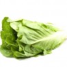 LECHUGA LARGA KG