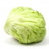 LECHUGA ROMANA KG