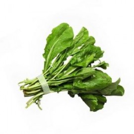 ARUGULA