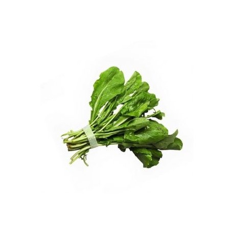 ARUGULA