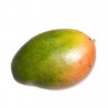 MANGO PETACON