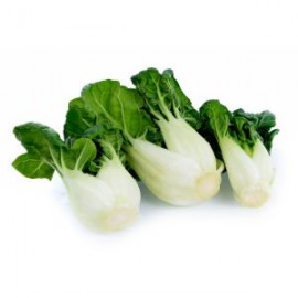 BOK CHOY BABY