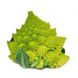 BROCOLI ROMANESCO