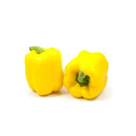 CHILE PIMIENTO MORRON AMARILLO