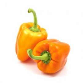 CHILE PIMIENTO MORRON NARANJA