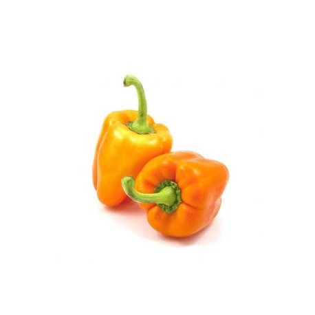 CHILE PIMIENTO MORRON NARANJA