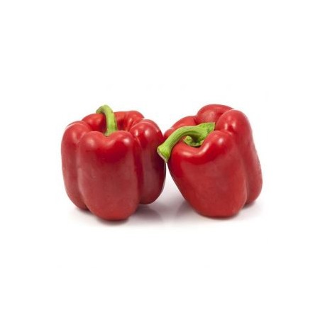 CHILE PIMIENTO MORRON ROJO