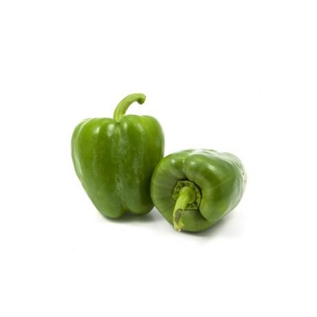 CHILE PIMIENTO MORRON VERDE