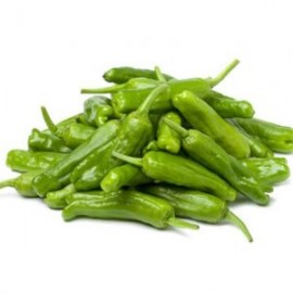 CHILE SHISHITO PEPPERS KG